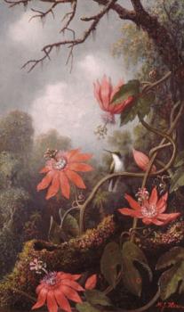 馬丁 約翰遜 赫德 Hummingbird And Passionflowers